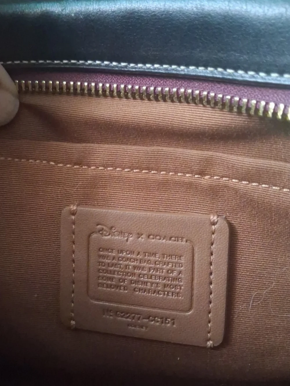 Disney brown coach